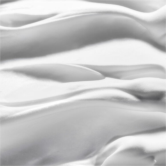 THE GINZA CREAMY CLEANSING FOAM P, 
