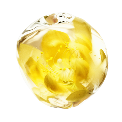 THE GINZA Linden Extract(protects skin)*¹