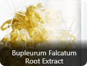 Bupleurum Falcatum Root Extract