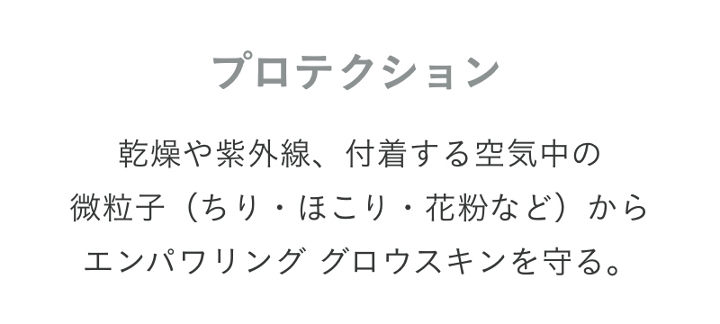 コレクション プロテクション