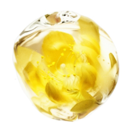 THE GINZA Linden Extract(protects skin)*¹