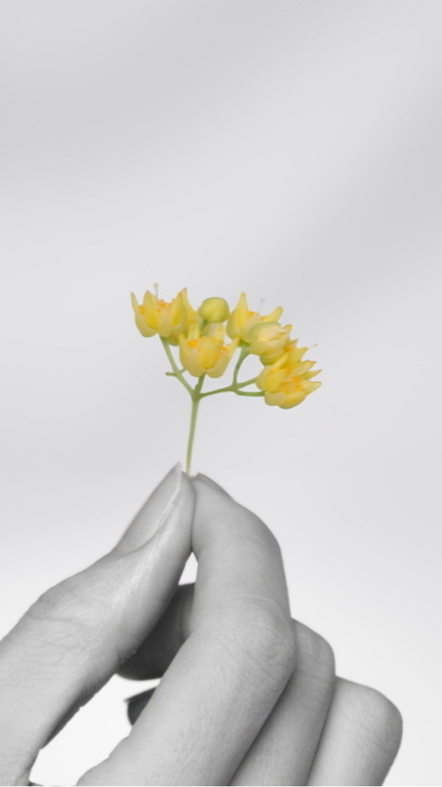 THE GINZA｜OFFICIAL SITE
