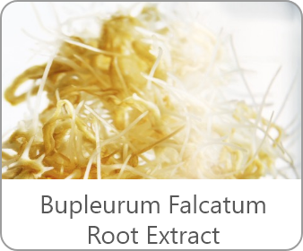 Bupleurum Falcatum Root Extract