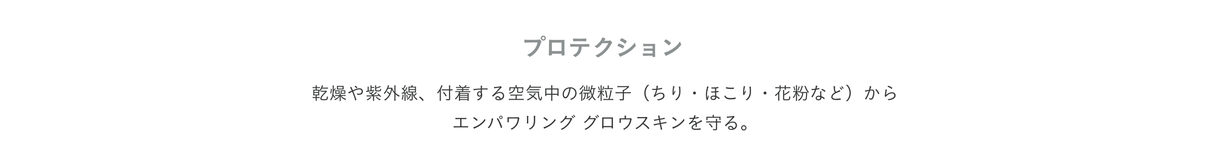 コレクション プロテクション